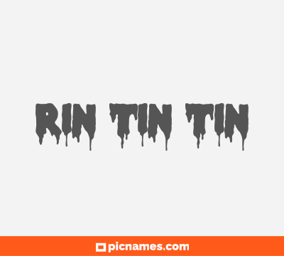 Rin Tin Tin